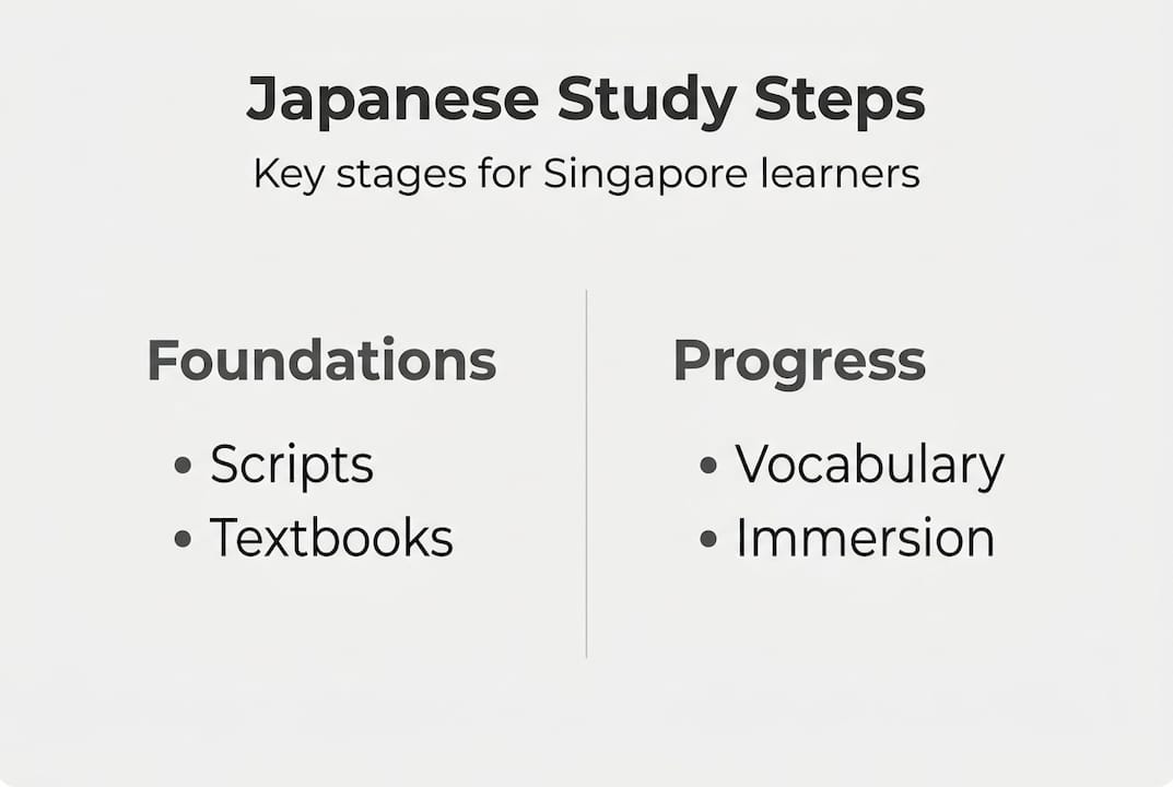 Infographic showing Japanese study steps