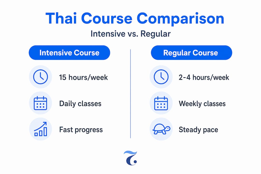 Infographic comparing intensive and regular Thai courses
