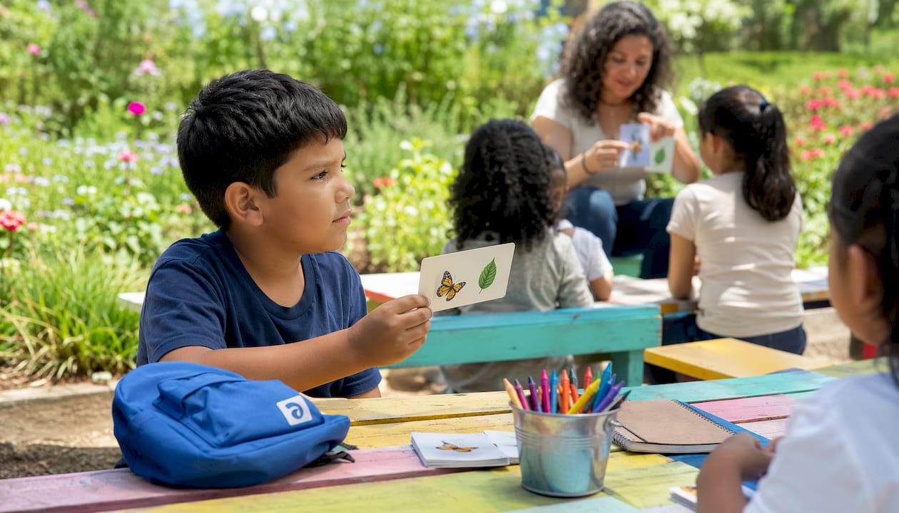 Child engaged with bilingual learning flashcards