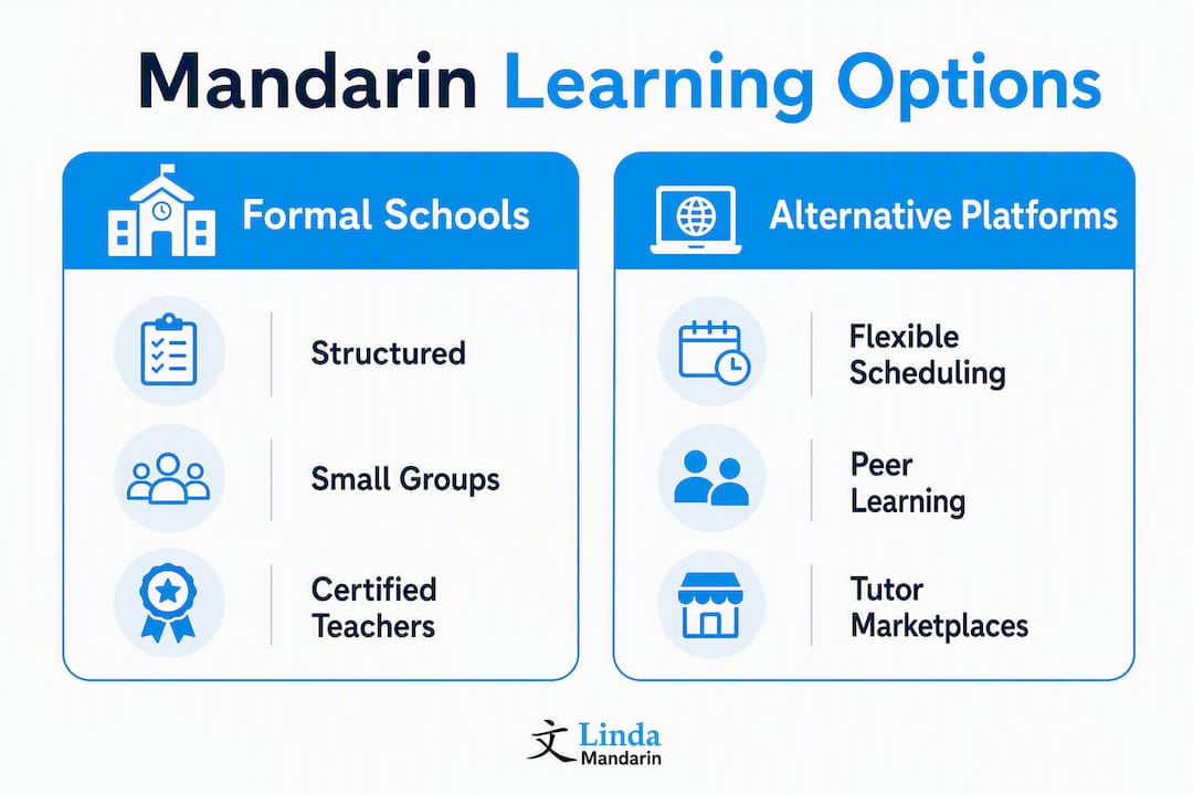 Infographic comparing formal schools and alternative platforms for Mandarin learning