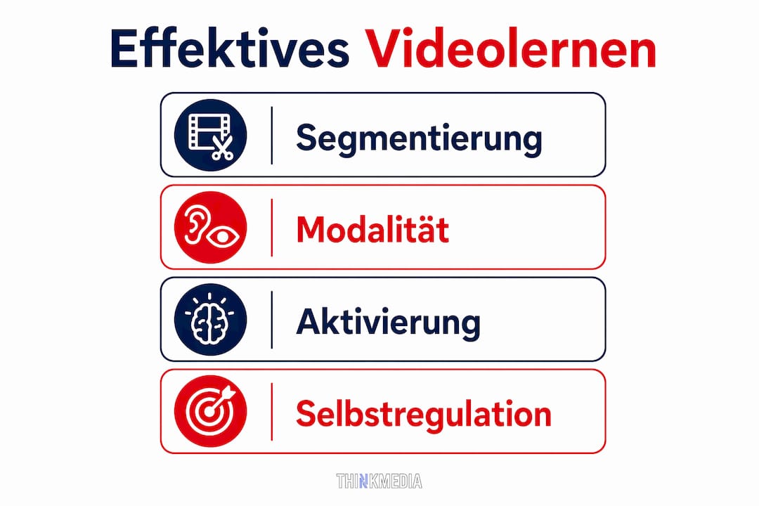 Übersicht der wichtigsten didaktischen Grundsätze beim Lernen mit Videos