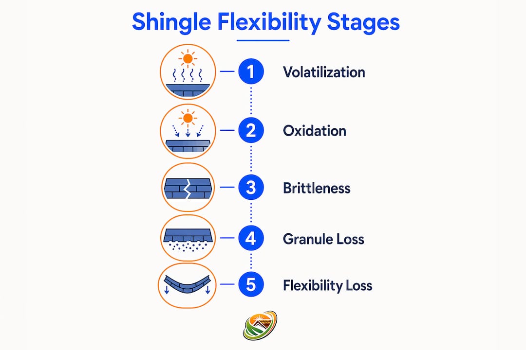 Infographic showing stages of asphalt shingle aging