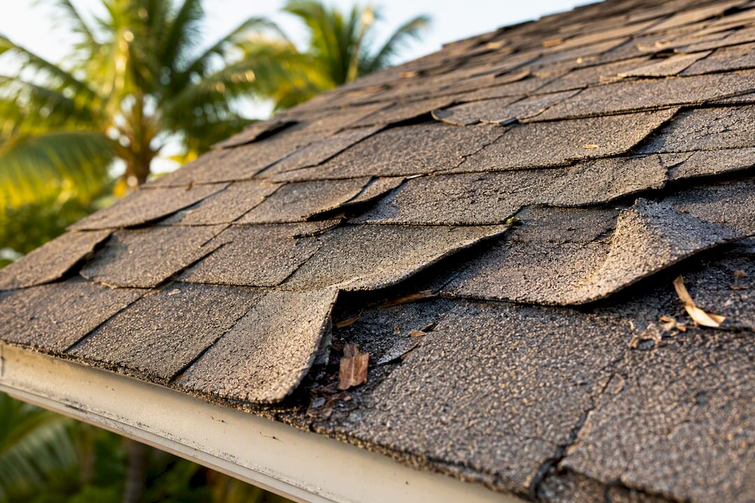 Close-up of weathered asphalt shingles with curling edges
