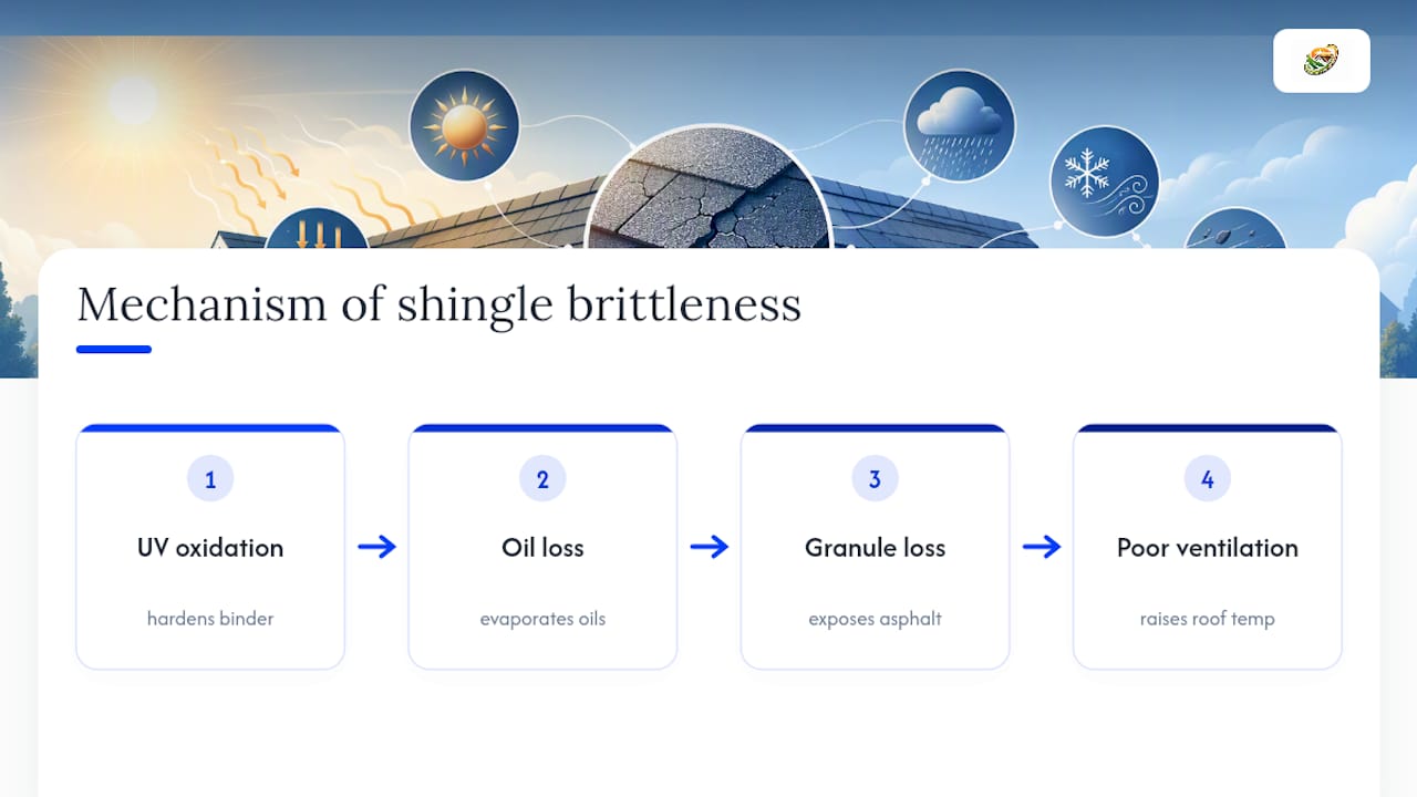 Why Shingles Become Brittle: The Material Science in Plain Terms — overview diagram