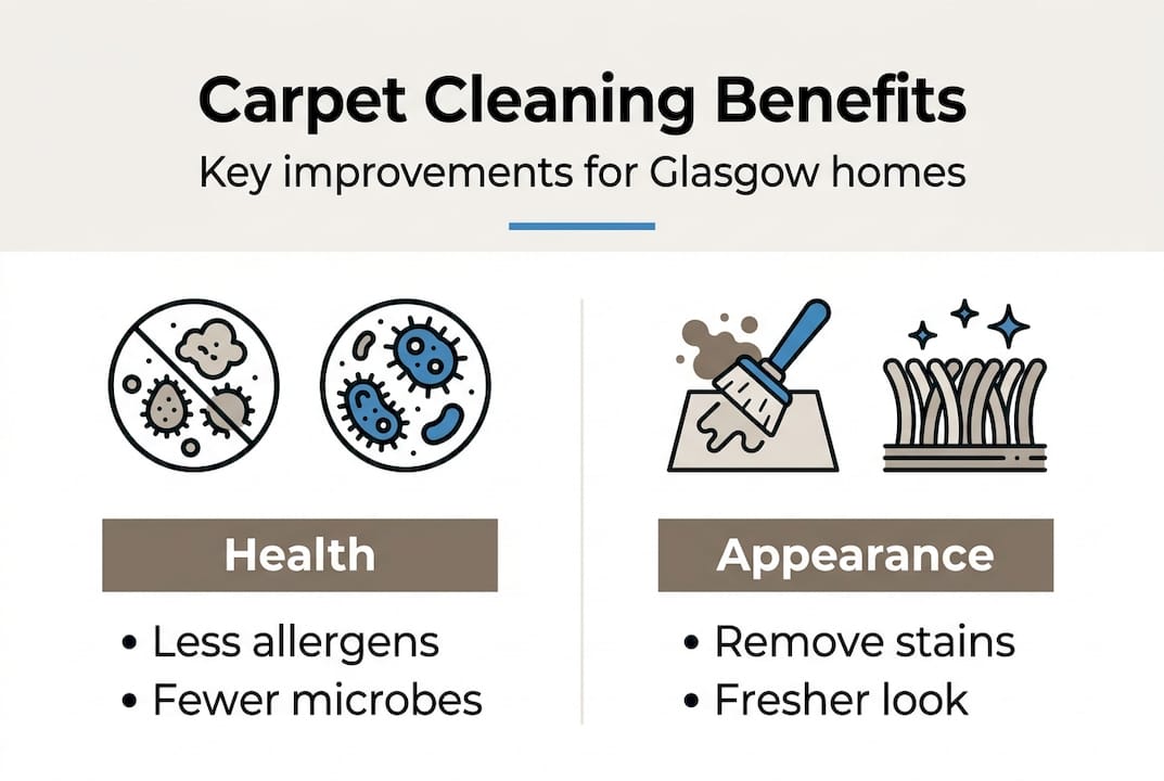 Infographic on carpet cleaning health and appearance