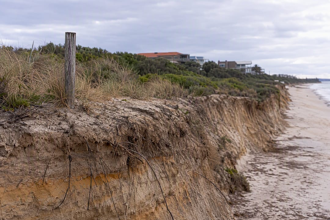 Eroded coastal bank near residential homes