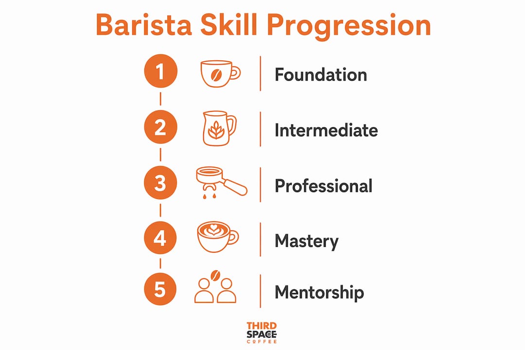 Infographic showing barista skill development stages