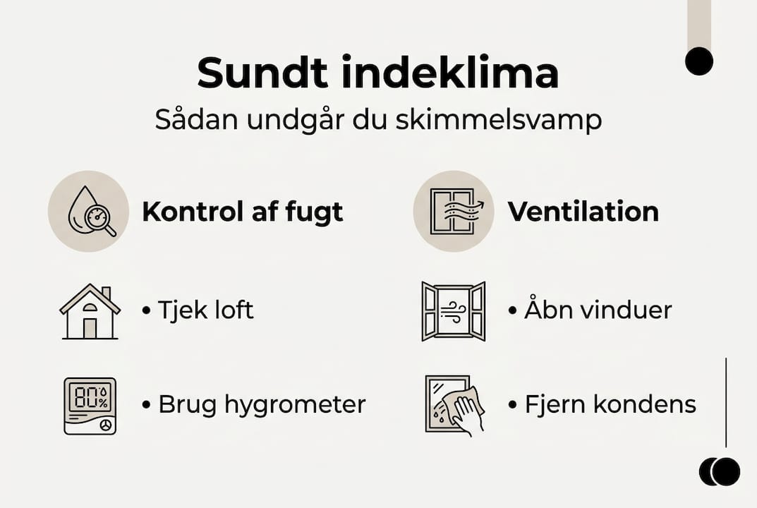 Fremgangsmåde ved skimmel: trin for trin til sundt indeklima 2 Guide: Sådan undgår du skimmelsvamp i boligen