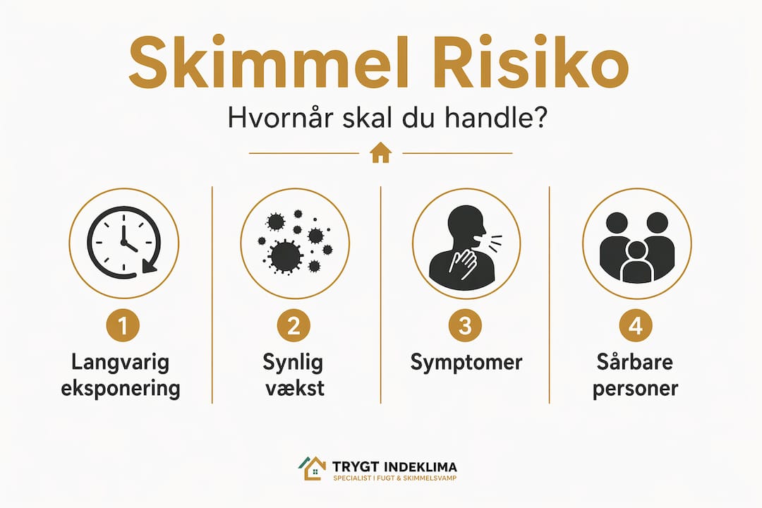 Hvornår er skimmel farligt for dit helbred? 4 Oversigt: Sådan vurderer du risikoen for skimmelsvamp – trin for trin