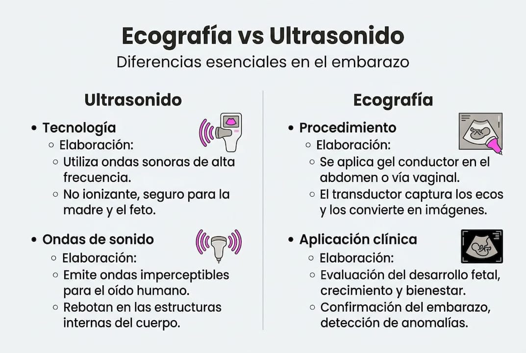 Infografía: ¿En qué se diferencian la ecografía y el ultrasonido?