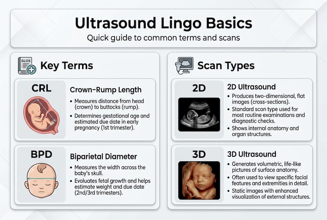 Infographic of ultrasound terms and scan types