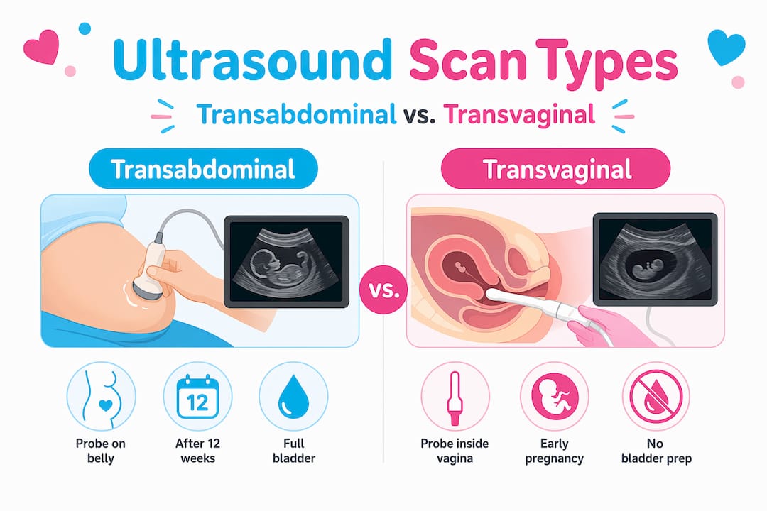 Infographic comparing ultrasound scan types