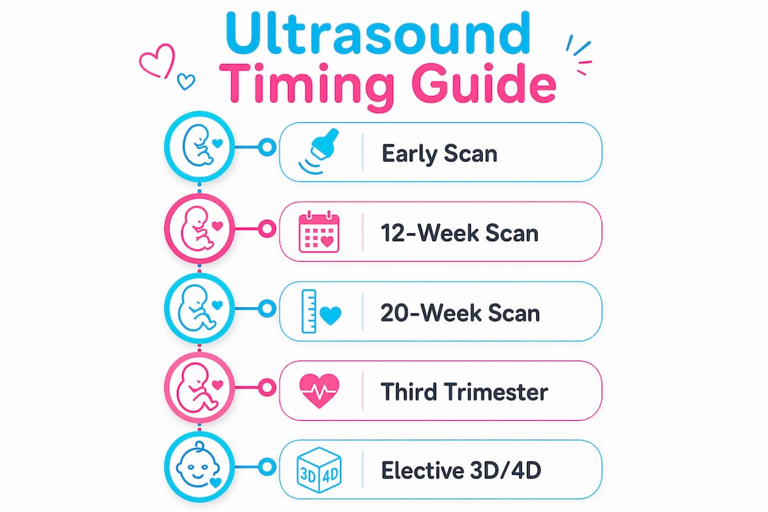 Infographic showing ultrasound timing stages for pregnancy