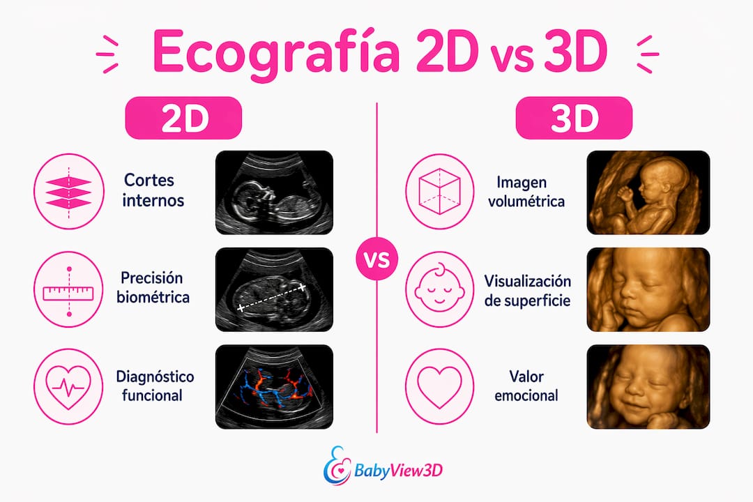 Comparativa visual entre ecografía 2D y 3D: aspectos clave a tener en cuenta