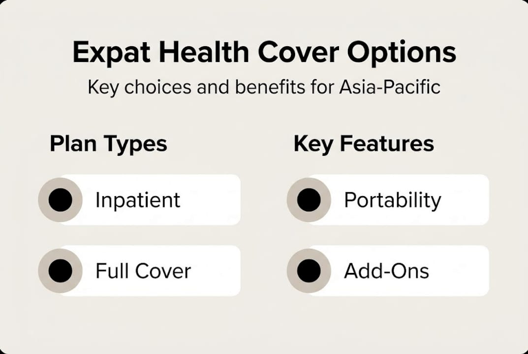 Infographic with expat health cover plan types and features