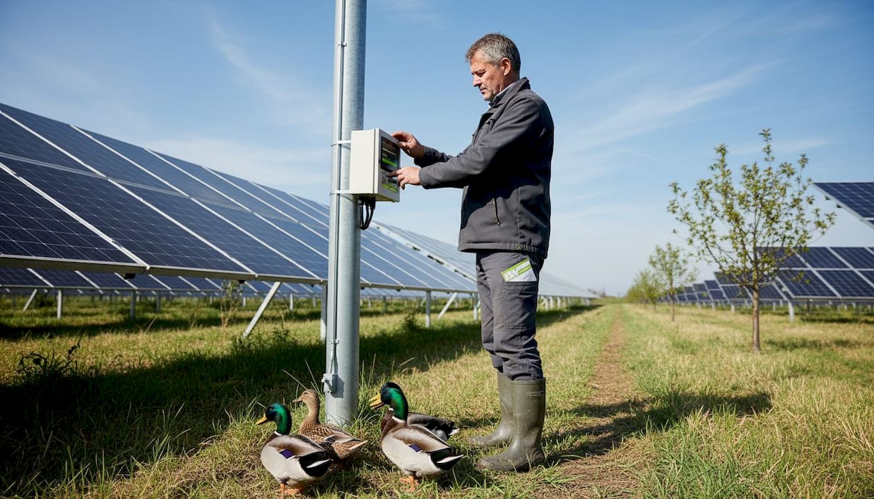 Ein Landwirt stellt auf seinem Hühnerhof die Solaranlage nach.