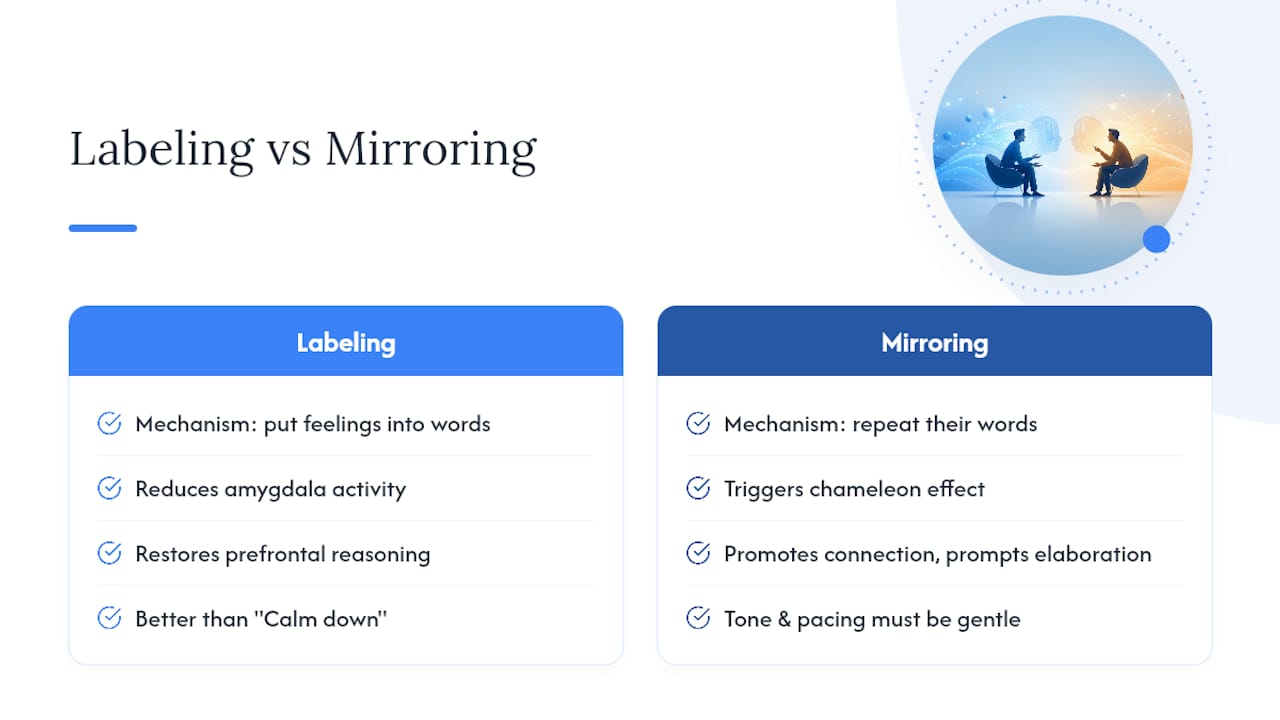 Why Does Labeling Calm People Down? — overview diagram