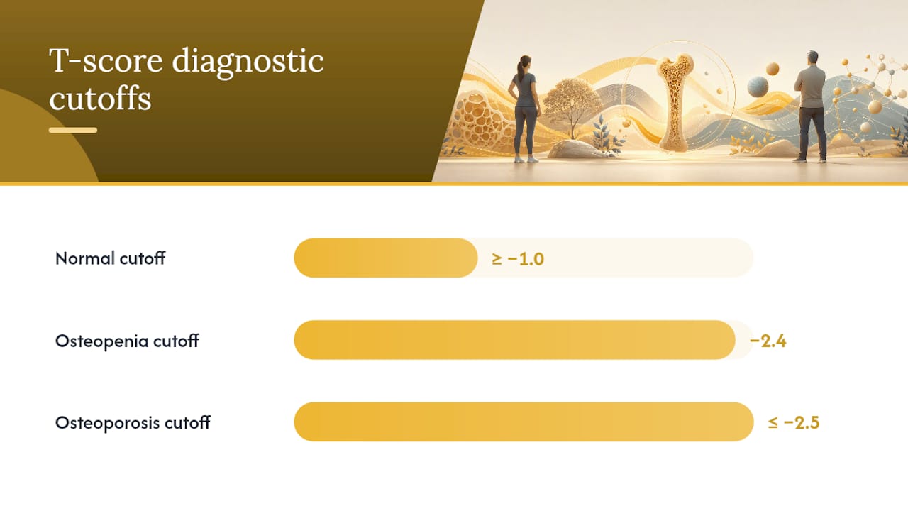 How to read your DEXA results: T-score, Z-score, and FRAX — overview diagram