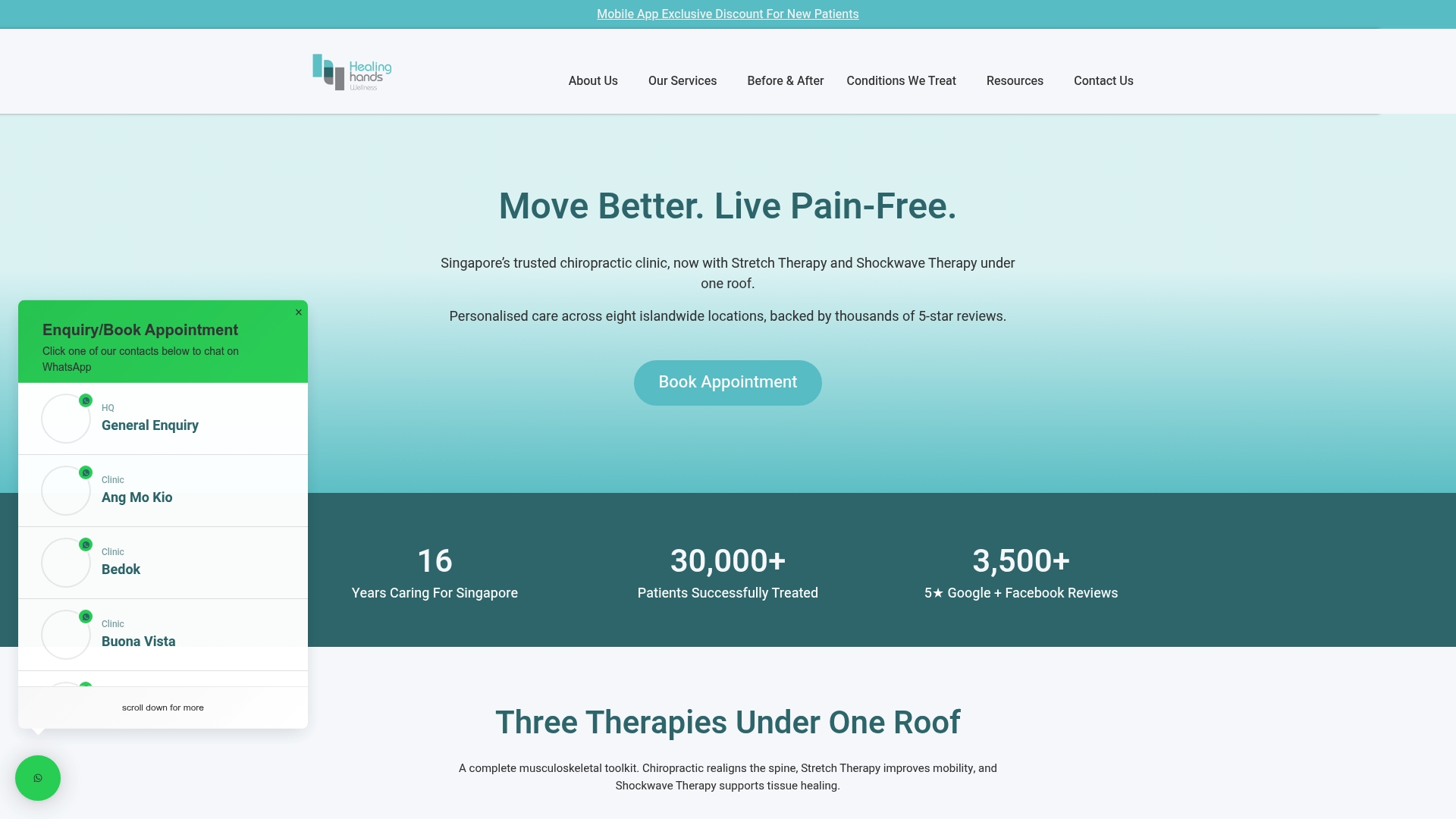 https://healinghands.com.sg