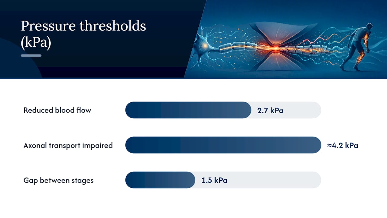 Diagram of nerve compression pressure thresholds