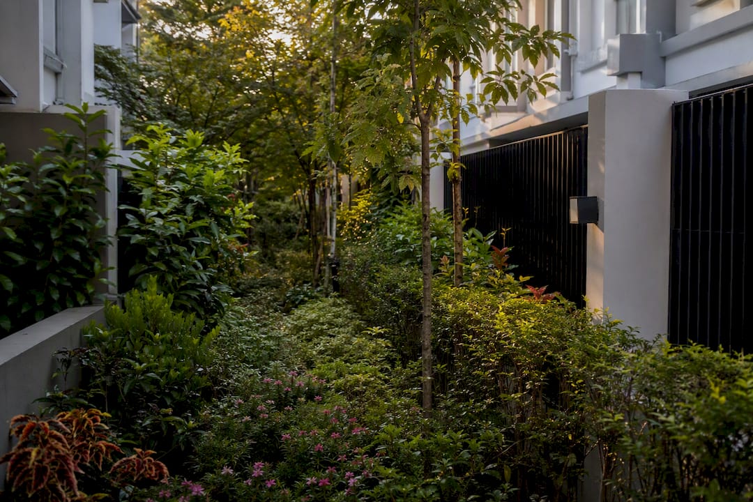 Building Setback Rules in Singapore: URA and PUB Requirements Planting verge between residential boundaries