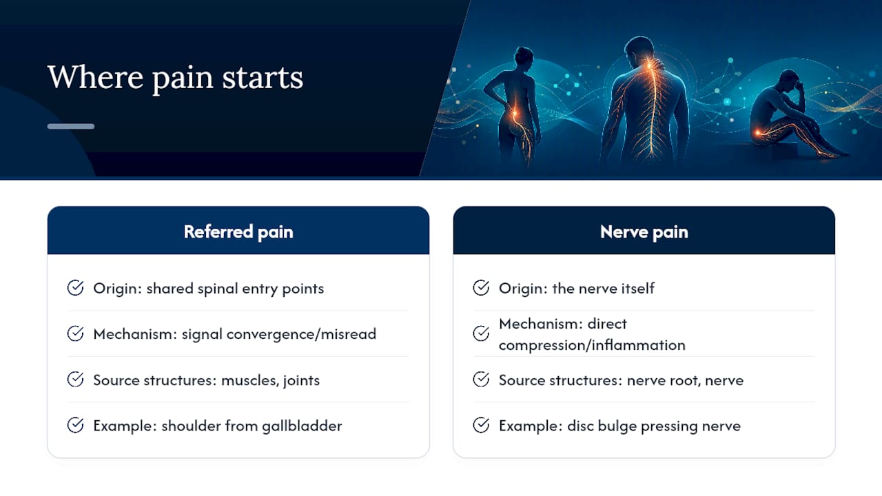 Referred Pain vs Nerve Pain: Where Each One Actually Starts — overview diagram