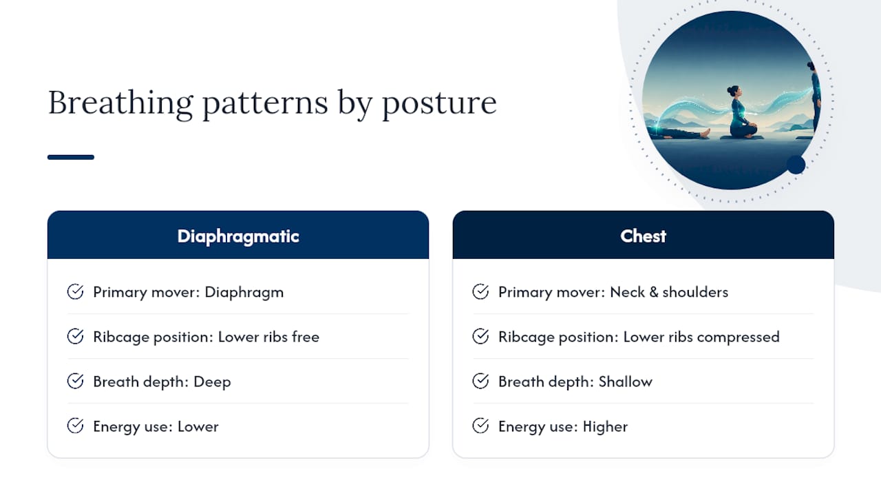 What Diaphragmatic Breathing Posture Actually Means — overview diagram