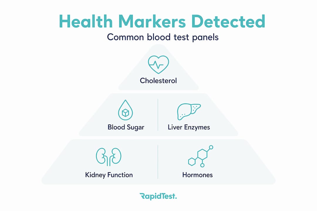 Hierarchy infographic showing main health markers detected