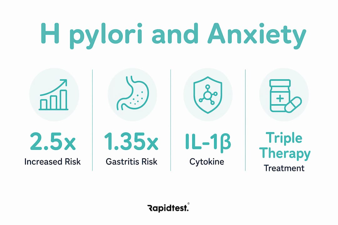 Infographic showing H pylori anxiety research statistics