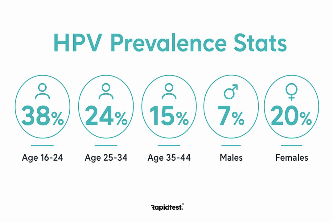Infographic displaying HPV prevalence by age and gender