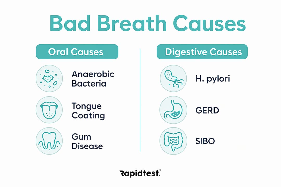 Infographic comparing oral and digestive causes of bad breath