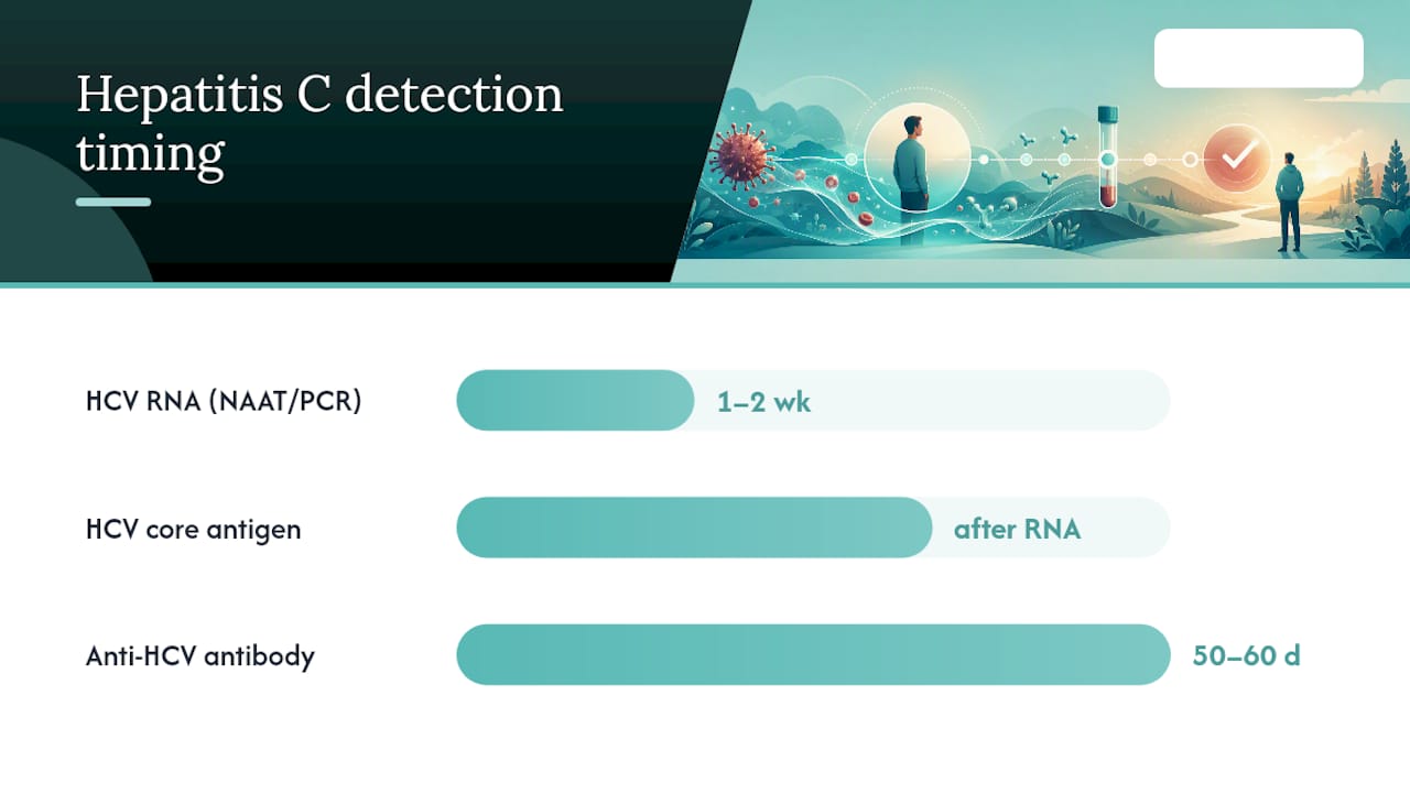 Hepatitis c testing timeline: RNA, antigen and antibody compared — overview diagram