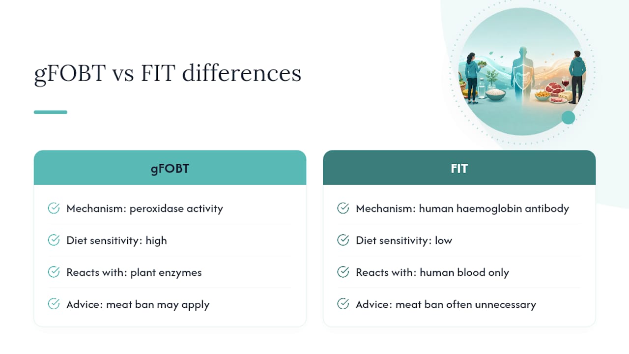 Comparison of gFOBT and FIT mechanisms