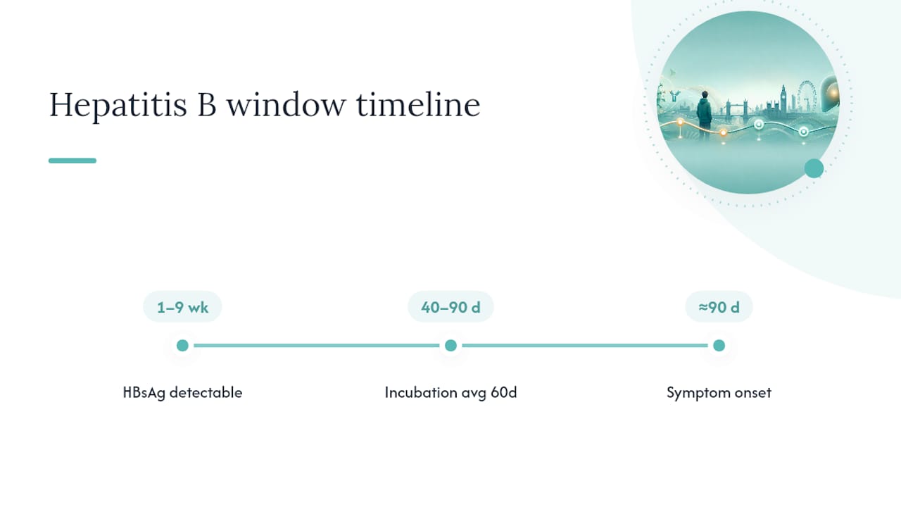 Hepatitis B detection and symptom timeline