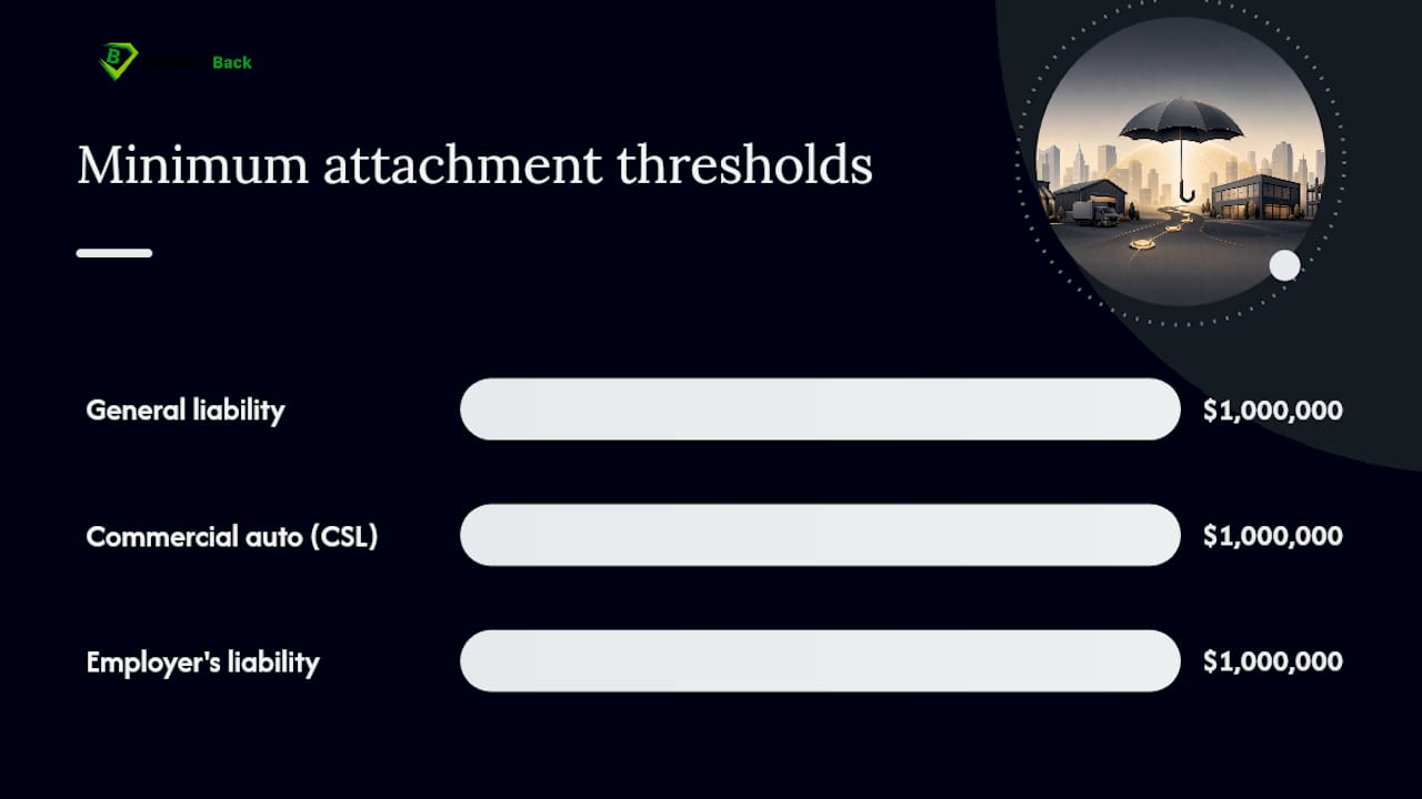 What Does Commercial Umbrella Insurance Cost You If You Understand How It Attaches? — overview diagram
