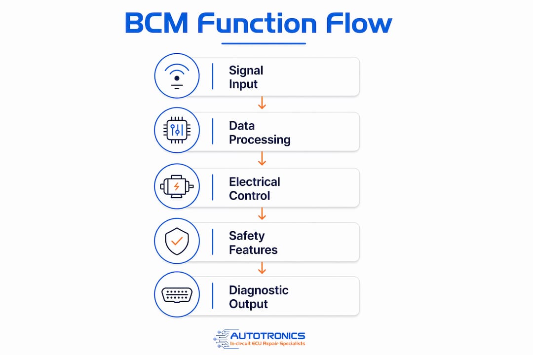 What is a body control module? A complete guide