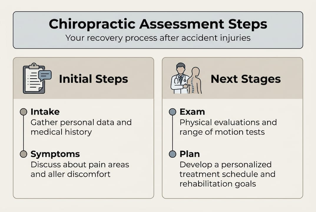 Infographic summarizing chiropractic assessment steps