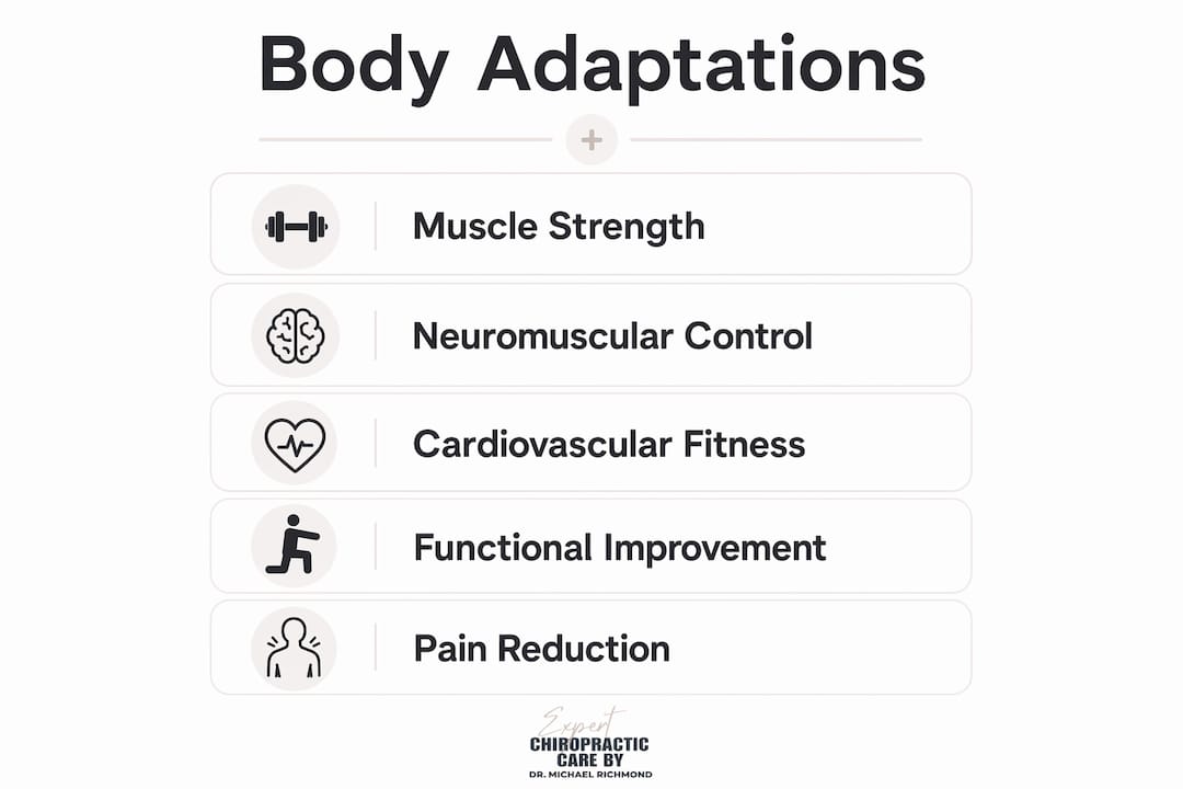 Infographic showing therapeutic exercise body adaptations and stages