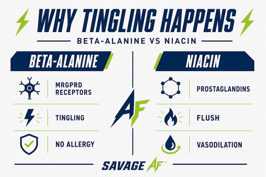 Infographic comparing beta-alanine tingling and niacin flush