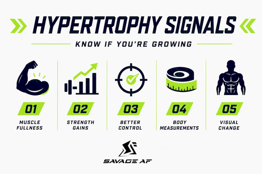 Infographic outlining top signs of muscle hypertrophy