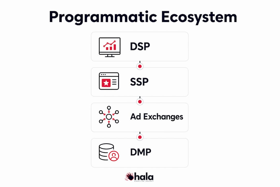 Infographic illustrating programmatic ecosystem components