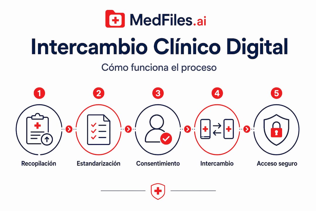 Infografía: etapas del proceso de manejo de datos clínicos en formato vertical