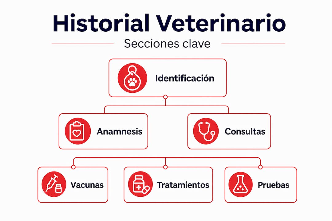 Infografía estructurada que muestra las principales partes del historial clínico veterinario