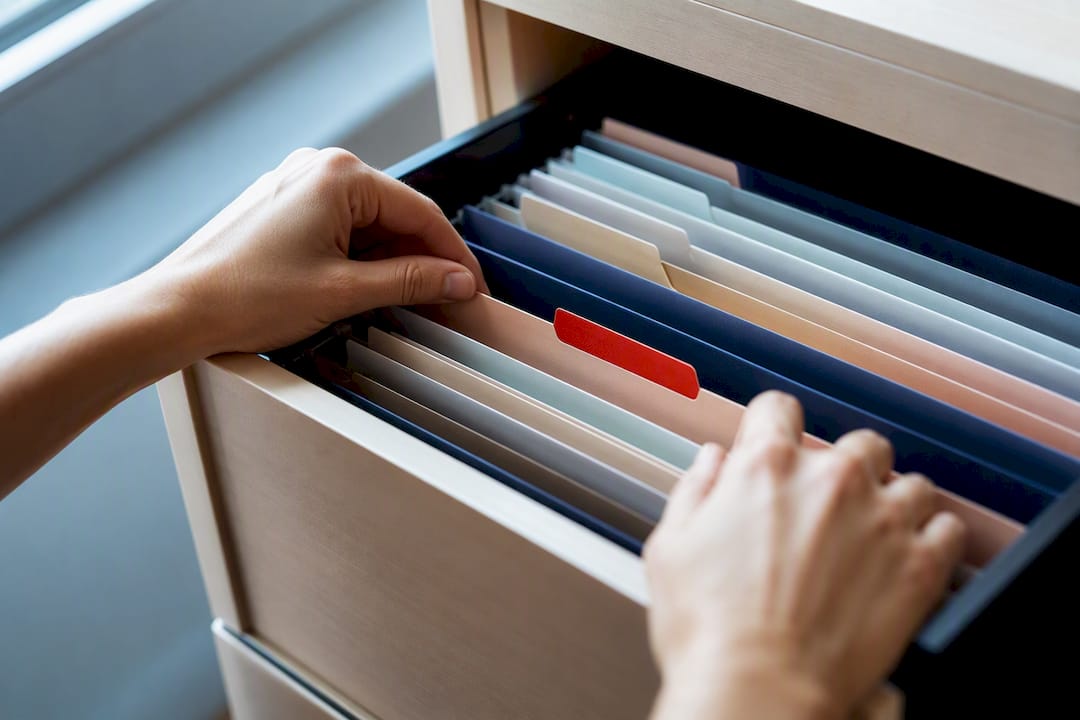 Cómo organizar resultados genéticos: sistema por perfil, carpeta y fecha
