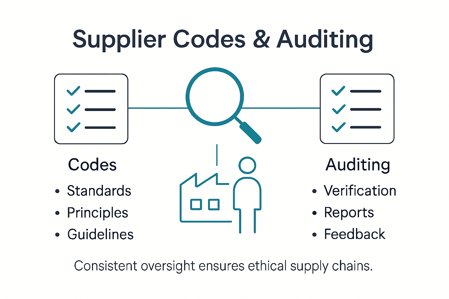 Infographic on supplier codes and auditing steps