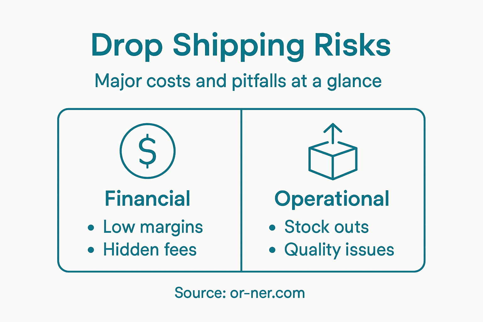 Infographic with main risks of drop shipping