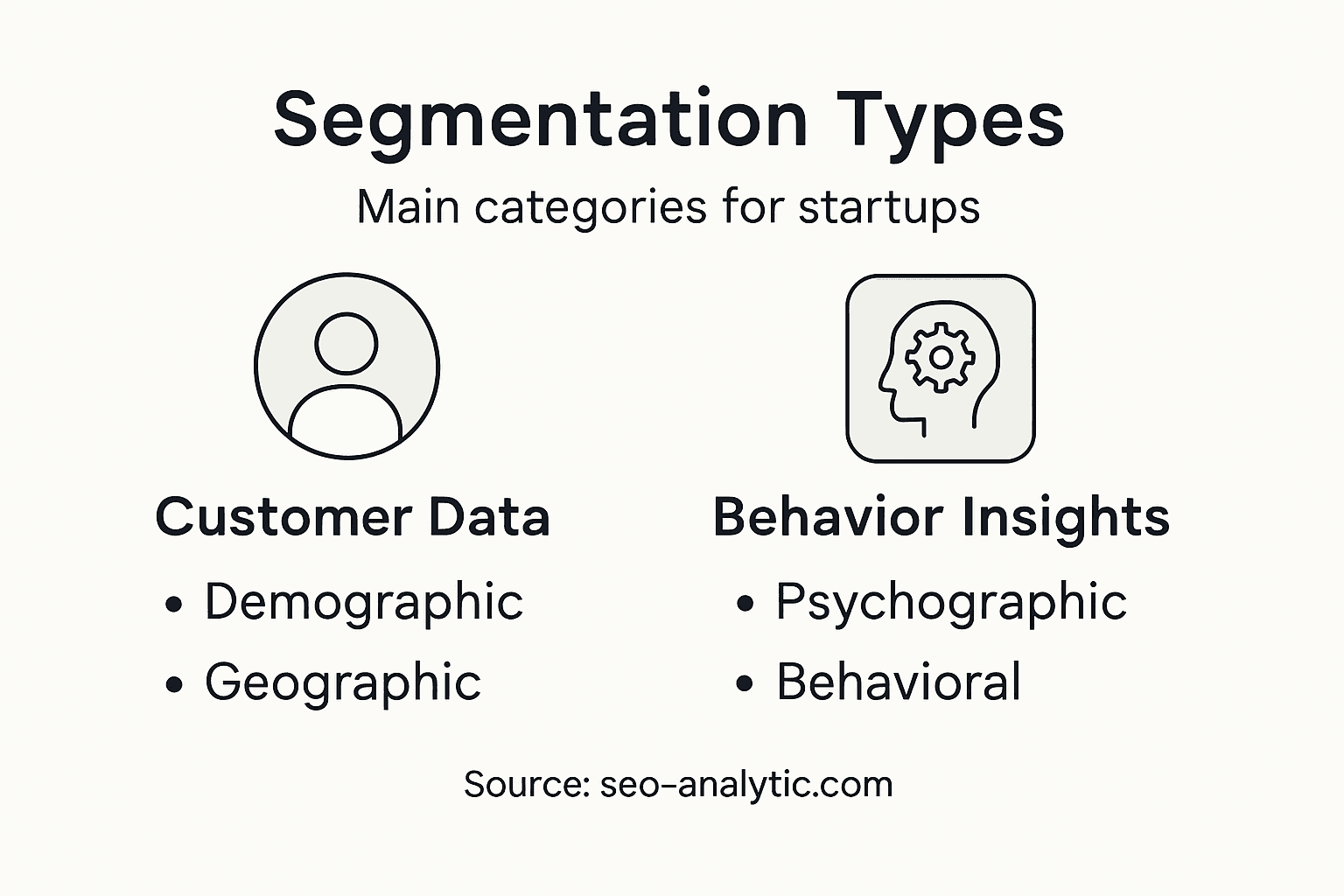 Infographic summarizing segmentation types for startups