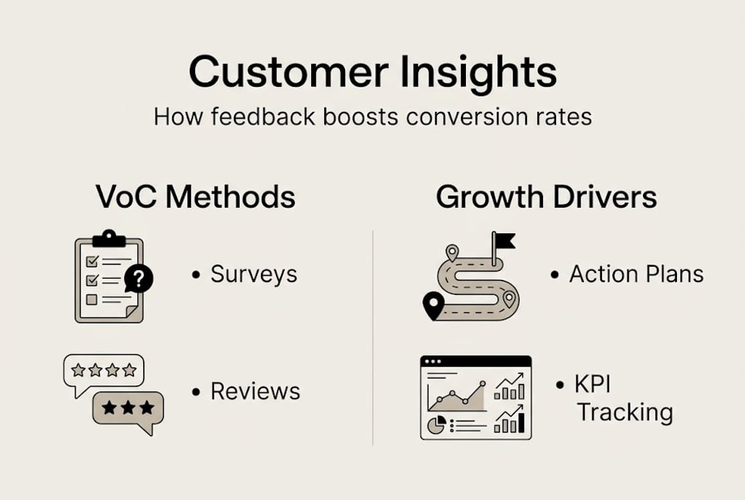 Infographic customer insights to conversion rates