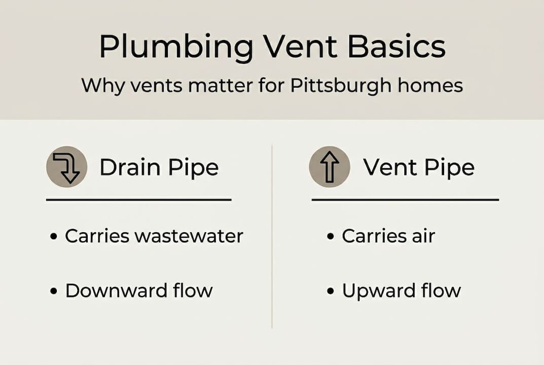 Infographic showing plumbing vent and drain basics