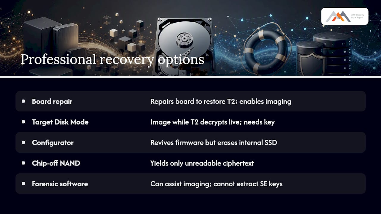 What Professional Recovery Methods Actually Work on T2 Macs? — overview diagram